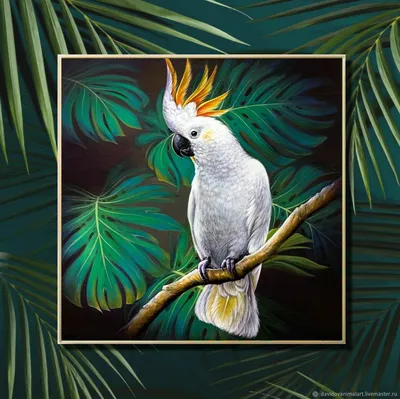 Мини какаду - попугай корелла, красивые окрасы: 700 грн. - Птицы Киев на Olx