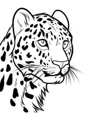 Леопард рисунок - 30 фото