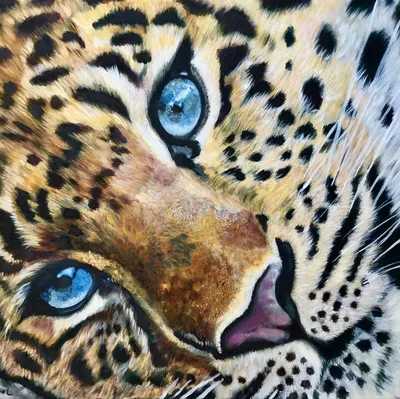 Фигурка Safari Ltd Дымчатый леопард за 1,170 руб – купить в  интернет-магазине КуклаДом в Москве и России, отзывы