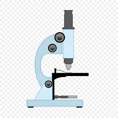 Значок материала микроскопа PNG , микроскоп, иконка, материал PNG рисунок  для бесплатной загрузки