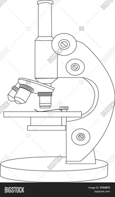 [79+] Картинки микроскопа обои