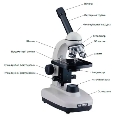 Учебный биологический микроскоп Optima® G-205