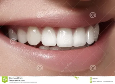 Здоровые зубы – это не только красивая улыбка