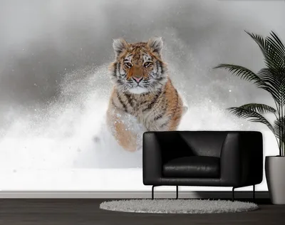 3D тигр: Загадочность в каждой детали обоев
