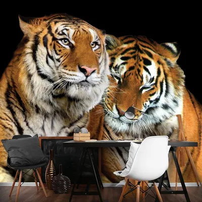 Фото 3D тигр: Бесплатно, стильно, впечатляюще