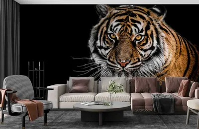 Бесплатные обои: 3D тигр в PNG формате для телефона