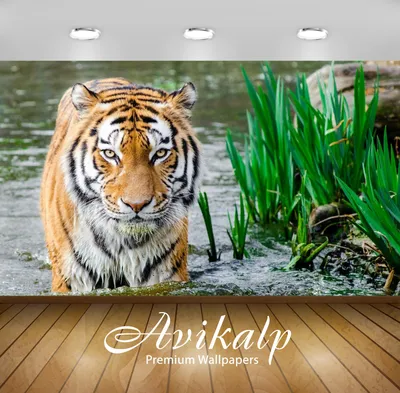iPhone обои: Впечатляющий 3D тигр на фоне