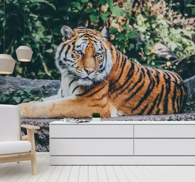 Общее фото: 3D тигр в различных размерах и форматах