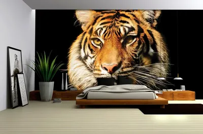 3D тигр: Обои для Windows в различных вариантах