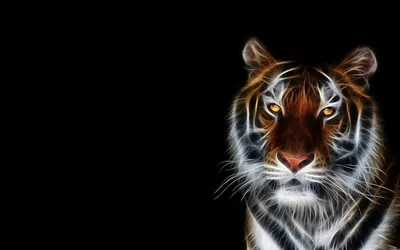 Общее фото: Бесплатные обои 3D тигр в разных форматах