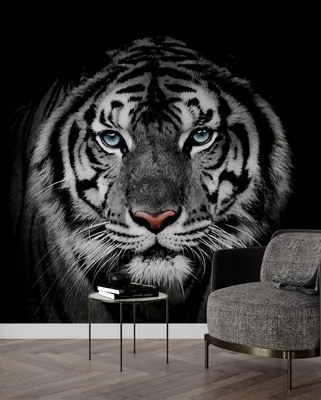 Фоны 3D тигр: Великолепие в каждом пикселе