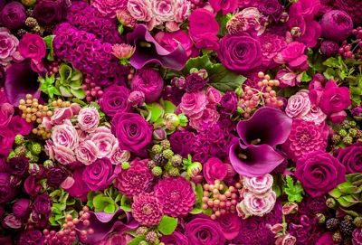 Фото ярких цветов в различных разрешениях - выбирай свои обои