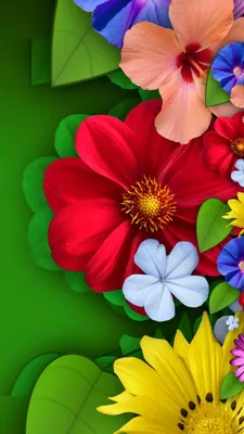 Яркие цветы на обои для iPhone - скачивай в высоком качестве
