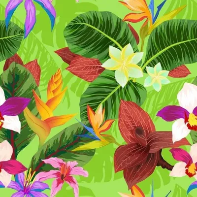 Яркие цветы на обои для телефона - веб-сайт предлагает выбор формата