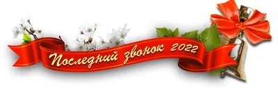 Сегодня, 25 мая, в 13.00 впервые в онлайн режиме состоится единый городской  праздник «Последний звонок».