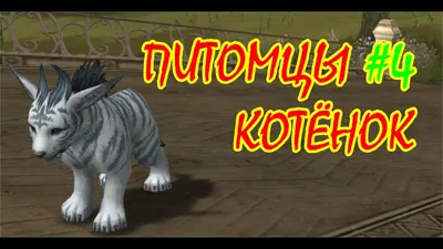 Квест на кугуара (baby cougar). Asterios x5 - YouTube