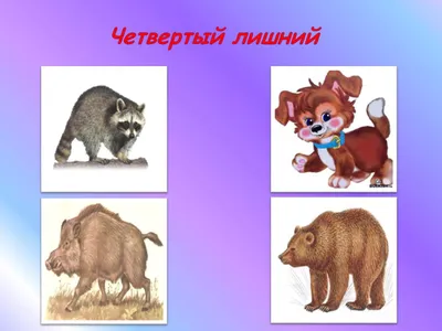 Четвертый лишний worksheet | Live Worksheets