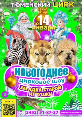 https://www.circus-tyumen.ru/