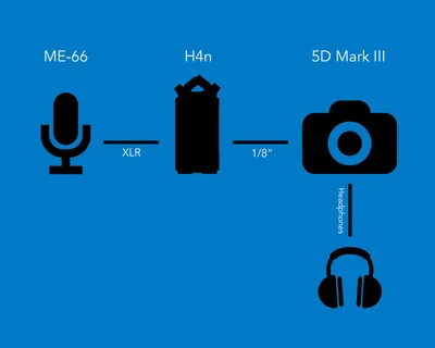 3D, 4D, 5D Consciousness EXPLAINED - The Complete Guide To Shifting From 3D  to 5D - YouTube