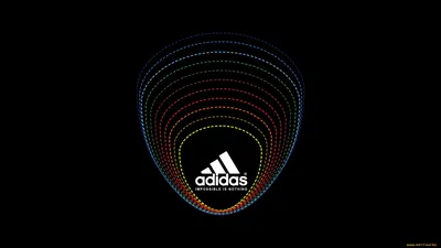 Скачать обои Adidas в разрешении 1920x1440 на рабочий стол