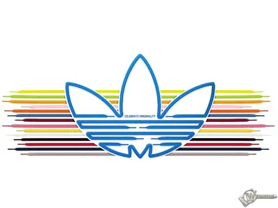 Архивы Adidas - ГОСНОВОСТИ