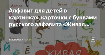 Обучающий плакат по русскому языку Алфавит азбука детям в школу - купить с  доставкой по выгодным ценам в интернет-магазине OZON (871535879)