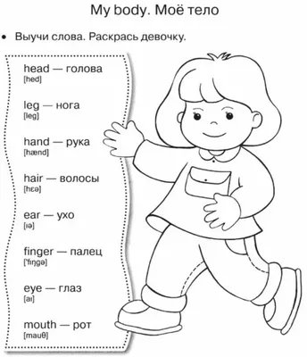 Издательство Титул Развивашка. Алфавитные карточки с картинками Английский  язык