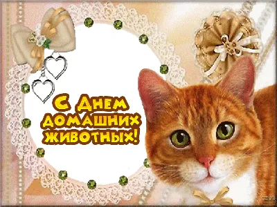 Скачать Анимированные стикеры с животными I WAStickerApps APK для Android