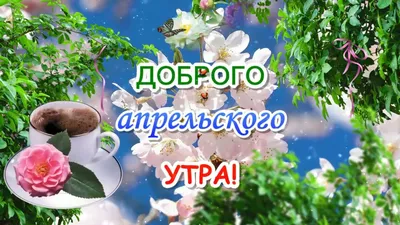 Красивые картинки \"Доброго утра!\" в апреле (106 шт.)