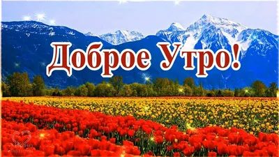 Красивые картинки \"Доброго утра!\" в апреле (106 шт.)