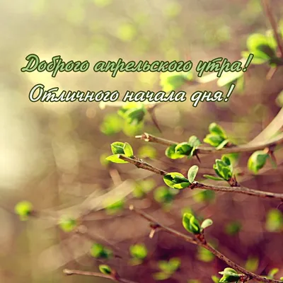 Доброе утро!!! 🌸Настроение отличное! 🍀На улице лето!🌞и я хочу с вами  этим делиться🤗 Друзья, я закрываю все апре… | Trabalhos manuais, Canecas  decoradas, Canecas