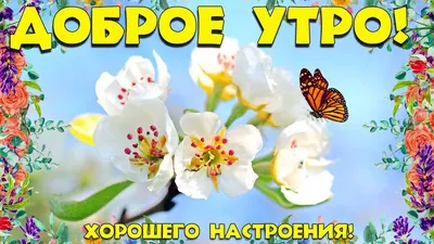 Зимние открытки \"Доброго утра!\" (236 шт.)