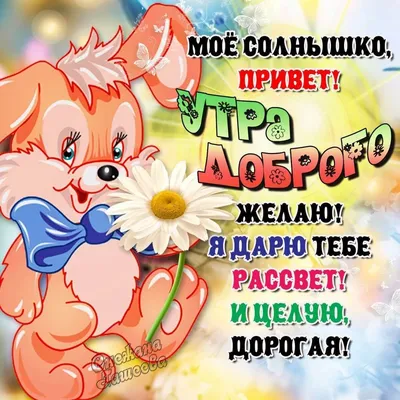 Картинки: \"Доброе утро, любимый!\" (356 шт.)