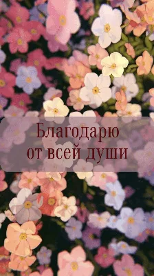 Картинка благодарю от всей души (скачать бесплатно)