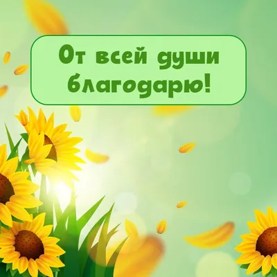 От всей души благодарю - Спасибо, благодарю - Повседневная анимация -  Анимация - SuperGif