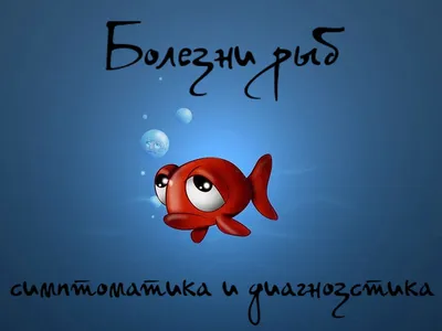 Покупка и приобретение дискусов, карантин, температура воды, ванны,  тепловой шок рыбы, кормление дискусов, корм, болезни, частота кормления  дискусов, размножение, сохранение икры, подбор производителей,  искусственное выкармливание молоди дискусов ...