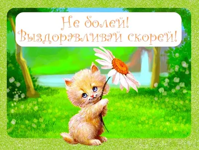 Не болей♥️, выздоравливай скорей!!! 🙏🌞🍉#здоровья#здоровьявсем#небол... |  TikTok