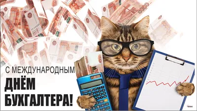 День бухгалтера 21 ноября: прикольные и красивые открытки с надписями к  празднику - МК Новосибирск