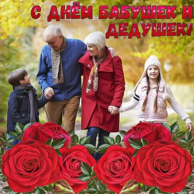 День бабушки 2022 - поздравления, открытки, картинки и когда празднуют в  Украине | OBOZ.UA
