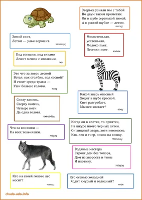 Детские загадки про животных с картинками обои
