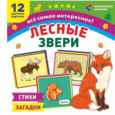 Книга Титул Стихи и загадки о животных. Пособие для детей 4-6 лет.  Английский язык купить по цене 236 ₽ в интернет-магазине Детский мир