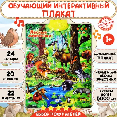 Книга Дикие животные Е. Сосновский 14 стр 9785436607146 Загадки-Рифмы  купить в Казани - интернет магазин Rich Family