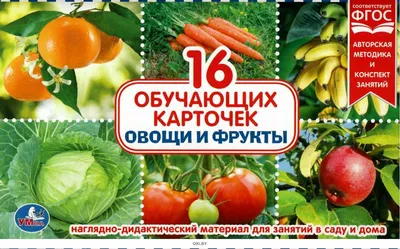 Купить Обучающие карточки в папке «овощи и фрукты» в интернет-магазине  OKi.by с доставкой или самовывозом