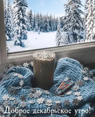 ✨Доброе декабрьское утро друзья ✨ Ведь оно точно добрейшее когда перед вами  наш шикарный завтрак и праздничная атмосфера 🙌🏼 ⠀ Зима взяла… | Instagram