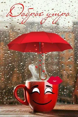 Лучшие идеи (11) доски «Дождливое утро» | дождливое утро, счастливые  картинки, осенние картинки