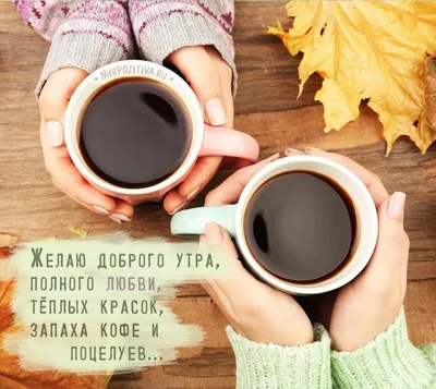 С добрым кофейным утром! :: Татьяна Лютаева – Социальная сеть ФотоКто