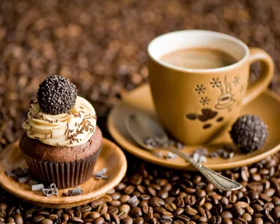 Концепция доброго утра - кофейные зерна, чашка черного кофе Стоковое  Изображение - изображение насчитывающей питье, темно: 75326629