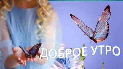 БАБОЧКИ СЧАСТЬЯ ! Музыкальная открытка с добрым утром! Good morning,  butterflies. - YouTube