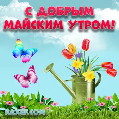 Открытки \"Доброго утра мая!\" бесплатно (158 шт.)