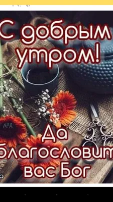 Доброе утро, диванные войска